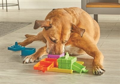 Brightkins Surprise Party Treat Puzzle 18,8X10,2X23,7 CM