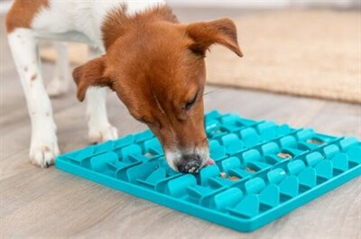 Trixie Lick &#039;N&#039; Snackmat Siliconen Blauw 30 CM