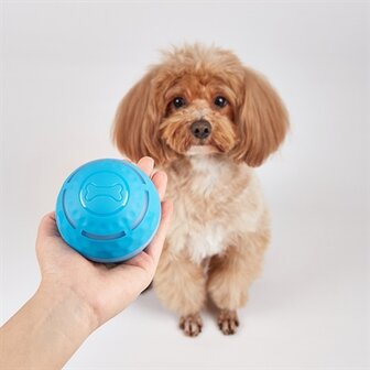 Fofos Rol Bal Oplaadbaar Voor Honden 8,5X8,5X8,5 CM