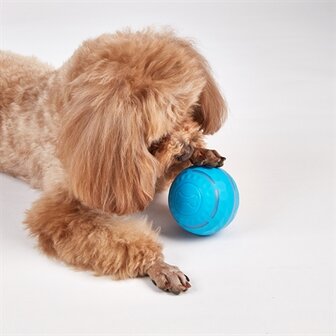 Fofos Rol Bal Oplaadbaar Voor Honden 8,5X8,5X8,5 CM
