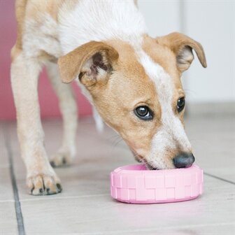 Kong Puppy Tyres Assorti S 9X3 CM