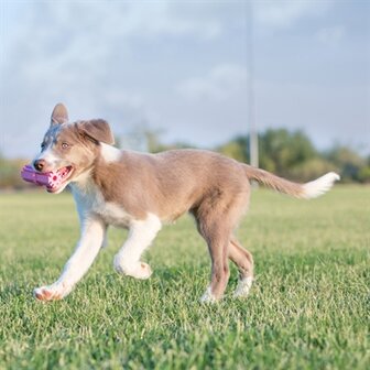 Kong Puppy Teething Stick Assorti MEDIUM 9,5X5X5 CM