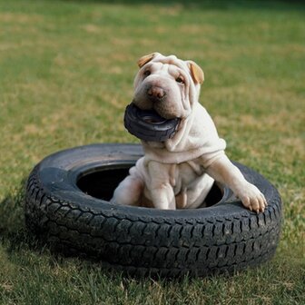 Kong Extreme Traxx Tyres SMALL 9X3X9 CM