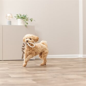 Trixie Visgraat Leer Met Touw 43 CM