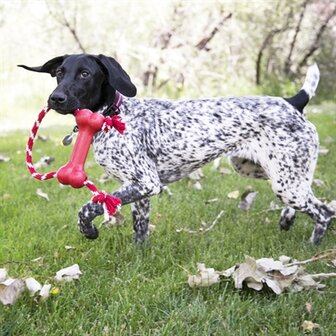 Kong Goodie Bone Met Touw 7-16 KG 18X4,5X6,5 CM