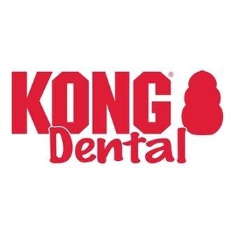 Kong Dental Met Touw 8,5X3,5X3,5 CM