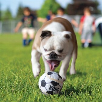 Kong Sport Bal Assorti 5X5X5 CM