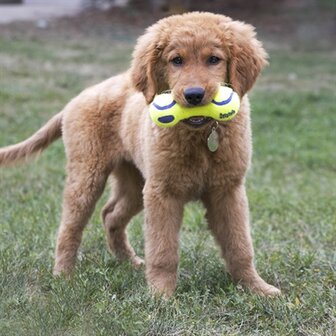 Kong Airdog Dumbel Tennisbal Geel 18X6,5X6,5 CM