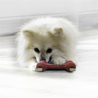 Kong Goodie Bone 13X3X5 CM