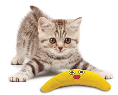 Petstages Green Magic Boomerang Buddy 23,5X10X4 CM