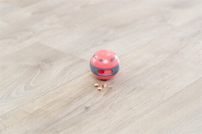 Trixie Cat Activity Voerbal Kat Assorti 6 CM