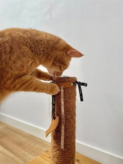 Martin Kattenspeelgoed Leana Kicker Met Catnip Gerecycled Assorti 45X6,5X2 CM