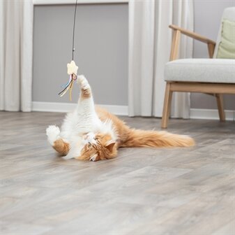 Trixie Kattenhengel Ster Kunststof / Pluche Met Catnip 46 CM