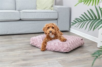 TRIXIE HONDENKUSSEN LOKI GERECYCLED HOEKIG ROZE