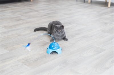 TRIXIE CATCH ME