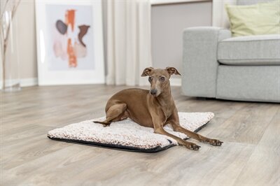 TRIXIE LIGMAT CALIDA MET WARMTEREFLECTERENDE VULLING WIT-BRUIN