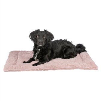 TRIXIE LIGMAT LONNI RIBFLUWEEL ROZE