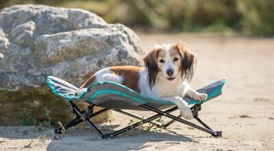TRIXIE STRETCHER VOOR HOND DONKERGRIJS / PETROL