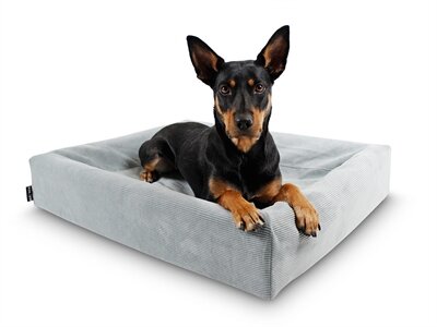 BIA BED RIB HOES HONDENMAND GRIJS