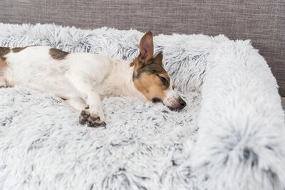 TRIXIE SOFA BED HARVEY MEUBELBESCHERMER HOEKIG WIT / ZWART
