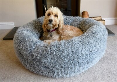 ROSEWOOD HONDENMAND SILVER FLUFF GRIJS