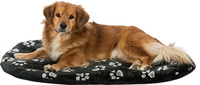 TRIXIE HONDENKUSSEN JIMMY OVAAL ZWART MET POOTPRINT