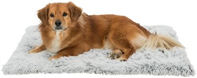 TRIXIE LIGMAT HARVEY WIT / GRIJS