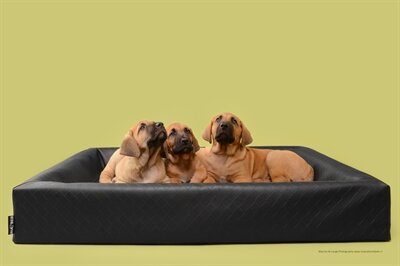 BIA BED HONDENMAND ORIGINAL SQUARE ZWART