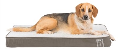 TRIXIE VITAAL ORTHOPEDISCH KUSSEN TAUPE/LICHTGRIJS