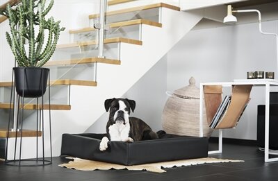 BIA BED HONDENMAND ORIGINAL ZWART