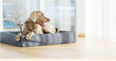BIA BED HONDENMAND ORIGINAL GRIJS