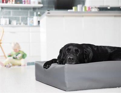 BIA BED HONDENMAND ORIGINAL GRIJS