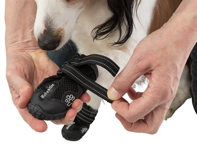 TRIXIE POOTBESCHERMING WALKER ACTIVE ZWART