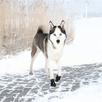 TRIXIE POOTBESCHERMING WALKER ACTIVE ZWART
