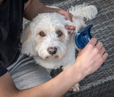 MIKKI DOODLE GROOMING KIT MET KAM EN SLICKERBORSTEL