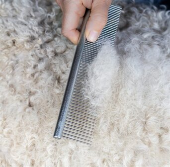 MIKKI DOODLE GROOMING KIT MET KAM EN SLICKERBORSTEL