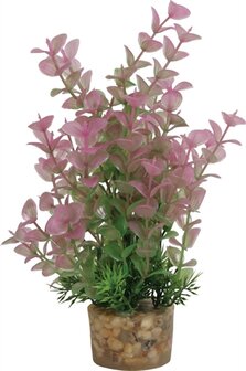 ZOLUX ORNAMENT PASTIC PLANT OP STENEN PUNTIG ASSORTI