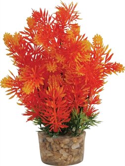 ZOLUX ORNAMENT PASTIC PLANT OP STENEN PUNTIG ASSORTI