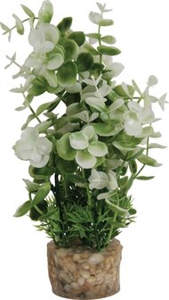 ZOLUX ORNAMENT PASTIC PLANT OP STENEN PUNTIG ASSORTI