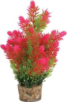 ZOLUX ORNAMENT PASTIC PLANT OP STENEN PUNTIG ASSORTI