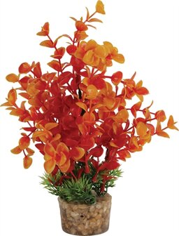 ZOLUX ORNAMENT PASTIC PLANT OP STENEN VROLIJK ASSORTI