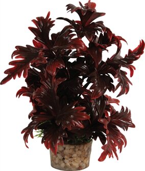 ZOLUX ORNAMENT PASTIC PLANT OP STENEN VROLIJK ASSORTI