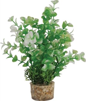 ZOLUX ORNAMENT PASTIC PLANT OP STENEN VROLIJK ASSORTI