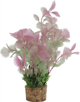 ZOLUX ORNAMENT PASTIC PLANT OP STENEN VROLIJK ASSORTI