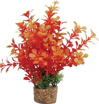 ZOLUX ORNAMENT PASTIC PLANT OP STENEN VROLIJK ASSORTI