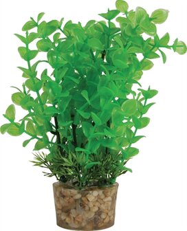 ZOLUX ORNAMENT PASTIC PLANT OP STENEN NEUTRAAL ASSORTI