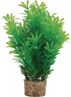 ZOLUX ORNAMENT PASTIC PLANT OP STENEN NEUTRAAL ASSORTI