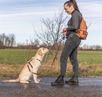 TRIXIE ROLLTOP RUGTAS MET HEUPTAS MET RIEM ROEST