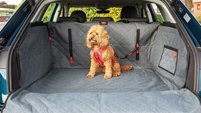 KONG ULTIMATE CARGO AUTO HONDENDEKEN