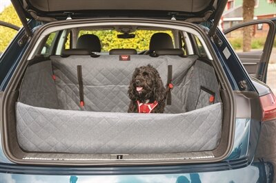 KONG ULTIMATE CARGO AUTO HONDENDEKEN